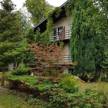 Pokoje I Apartamenty Przy Sosnowej ポッドンビエ エクステリア 写真
