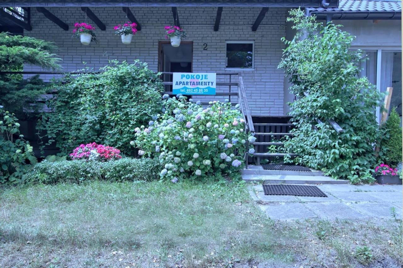 Pokoje I Apartamenty Przy Sosnowej ポッドンビエ エクステリア 写真