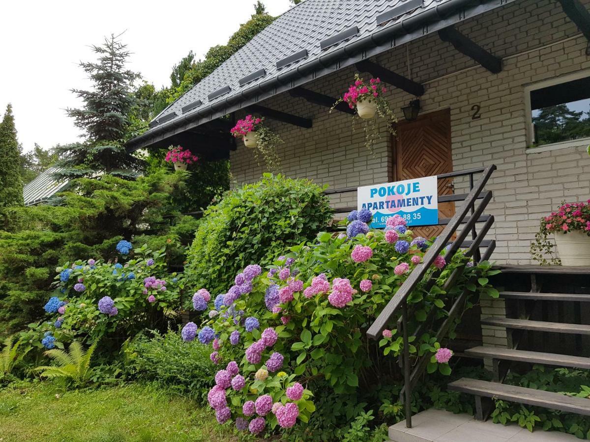 Pokoje I Apartamenty Przy Sosnowej ポッドンビエ エクステリア 写真